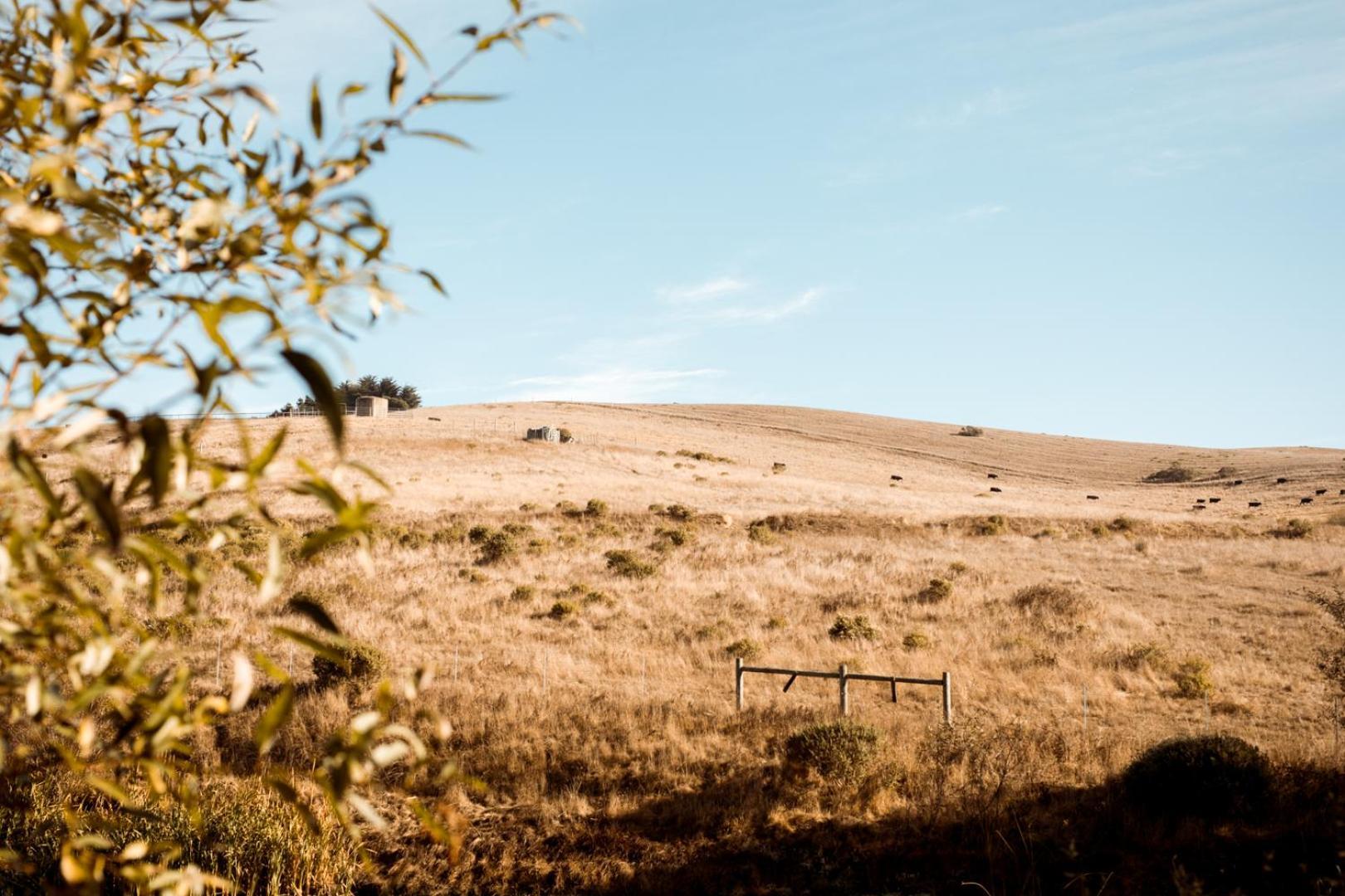 Sonoma Coast Villa Bodega 外观 照片